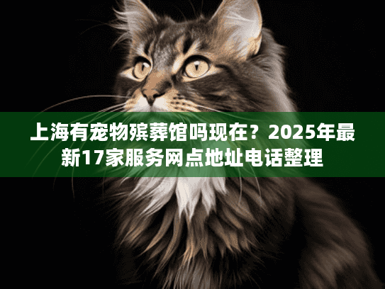 上海有宠物殡葬馆吗现在？2025年最新17家服务网点地址电话整理