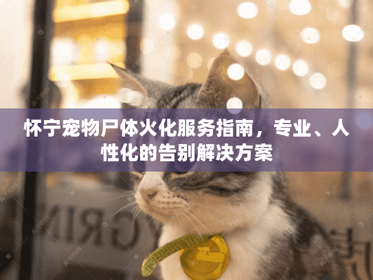 怀宁宠物尸体火化服务指南，专业、人性化的告别解决方案