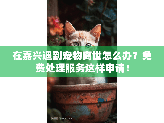 在嘉兴遇到宠物离世怎么办？免费处理服务这样申请！