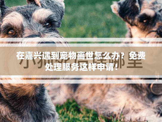 在嘉兴遇到宠物离世怎么办？免费处理服务这样申请！
