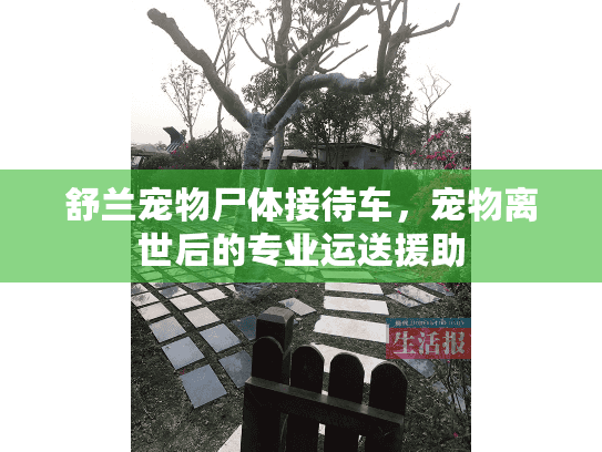 舒兰宠物尸体接待车，宠物离世后的专业运送援助