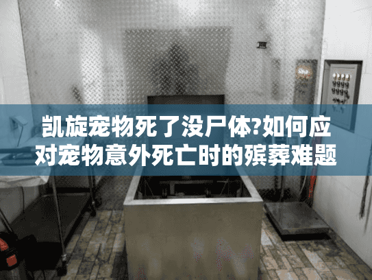 凯旋宠物死了没尸体?如何应对宠物意外死亡时的殡葬难题