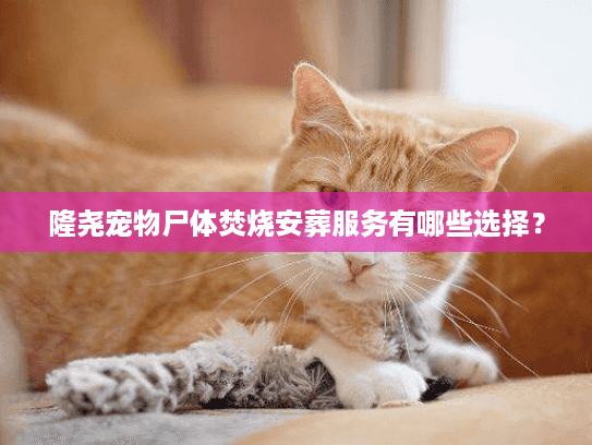 隆尧宠物尸体焚烧安葬服务有哪些选择？