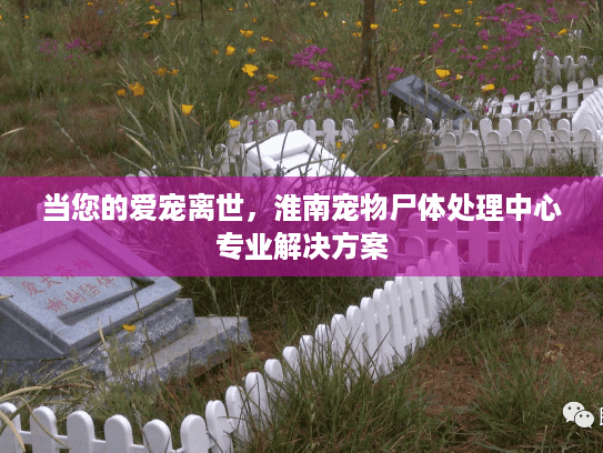当您的爱宠离世，淮南宠物尸体处理中心专业解决方案