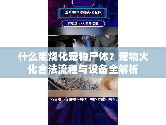 什么能烧化宠物尸体？宠物火化合法流程与设备全解析