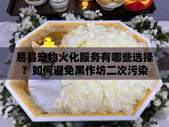 易县宠物火化服务有哪些选择？如何避免黑作坊二次污染
