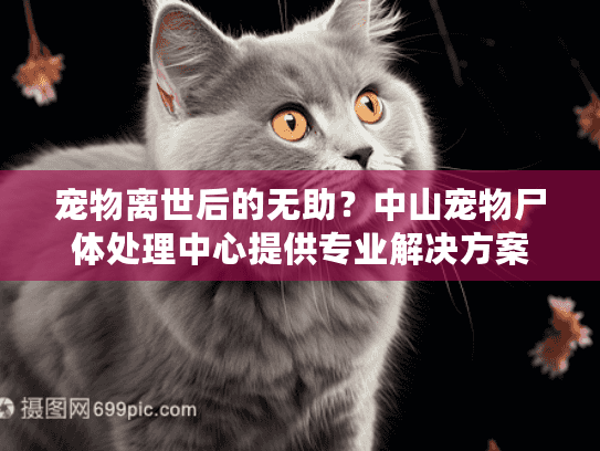 宠物离世后的无助？中山宠物尸体处理中心提供专业解决方案