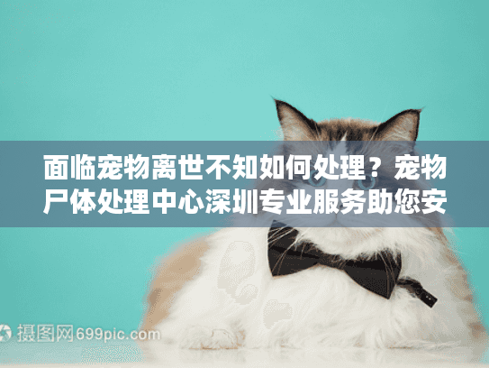 面临宠物离世不知如何处理？宠物尸体处理中心深圳专业服务助您安心
