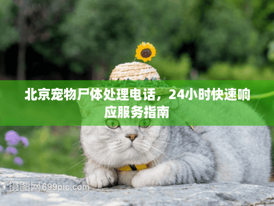 北京宠物尸体处理电话，24小时快速响应服务指南
