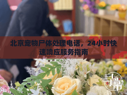 北京宠物尸体处理电话，24小时快速响应服务指南
