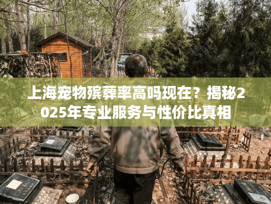 上海宠物殡葬率高吗现在？揭秘2025年专业服务与性价比真相