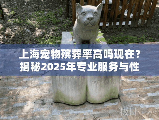 上海宠物殡葬率高吗现在？揭秘2025年专业服务与性价比真相