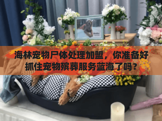 海林宠物尸体处理加盟，你准备好抓住宠物殡葬服务蓝海了吗？