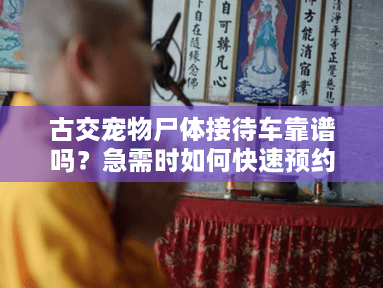 古交宠物尸体接待车靠谱吗？急需时如何快速预约专业宠物殡葬服务