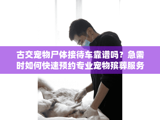 古交宠物尸体接待车靠谱吗？急需时如何快速预约专业宠物殡葬服务