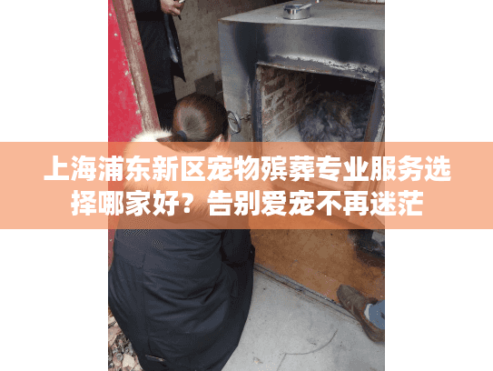 上海浦东新区宠物殡葬专业服务选择哪家好？告别爱宠不再迷茫