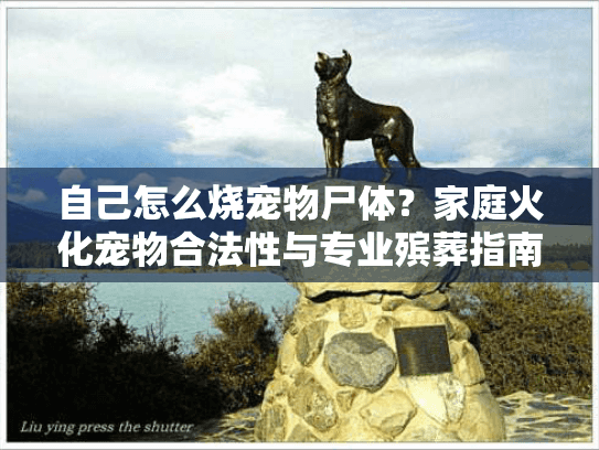 自己怎么烧宠物尸体？家庭火化宠物合法性与专业殡葬指南