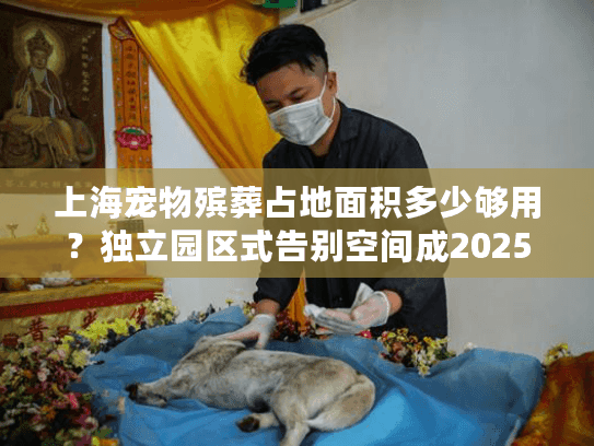 上海宠物殡葬占地面积多少够用？独立园区式告别空间成2025新趋势