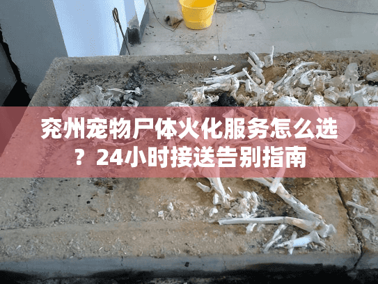 兖州宠物尸体火化服务怎么选？24小时接送告别指南