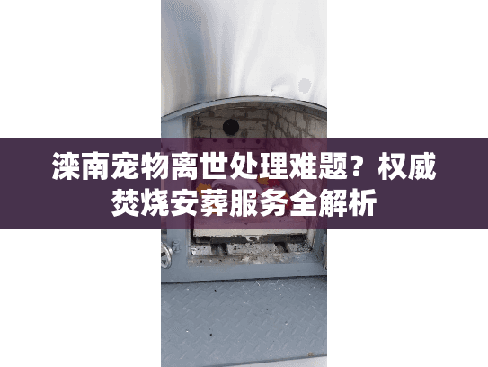 滦南宠物离世处理难题？权威焚烧安葬服务全解析