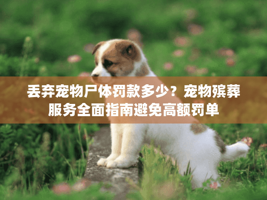 丢弃宠物尸体罚款多少？宠物殡葬服务全面指南避免高额罚单