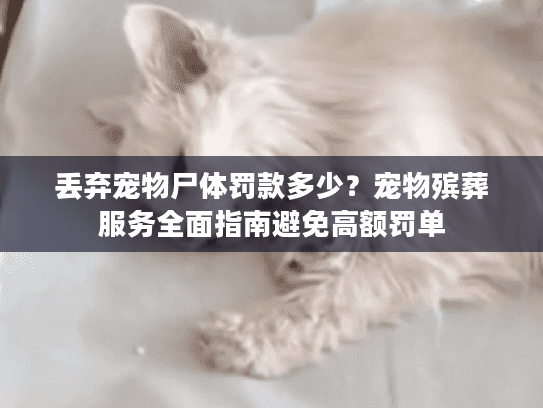 丢弃宠物尸体罚款多少？宠物殡葬服务全面指南避免高额罚单