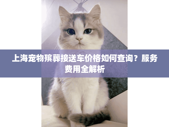 上海宠物殡葬接送车价格如何查询？服务费用全解析