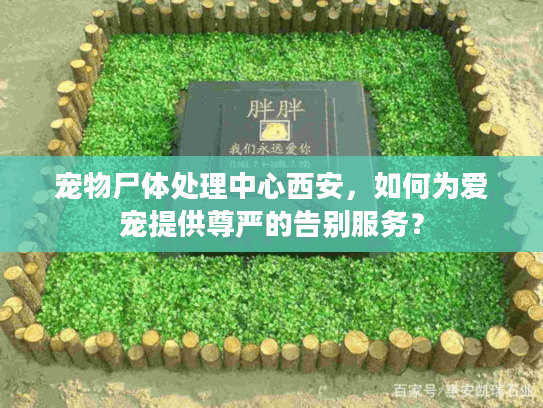 宠物尸体处理中心西安，如何为爱宠提供尊严的告别服务？