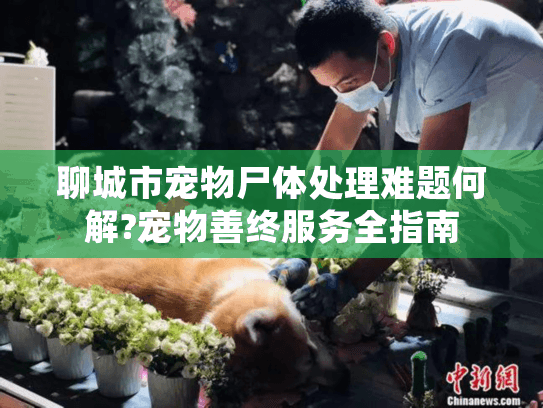 聊城市宠物尸体处理难题何解?宠物善终服务全指南