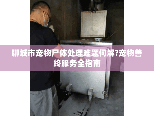 聊城市宠物尸体处理难题何解?宠物善终服务全指南