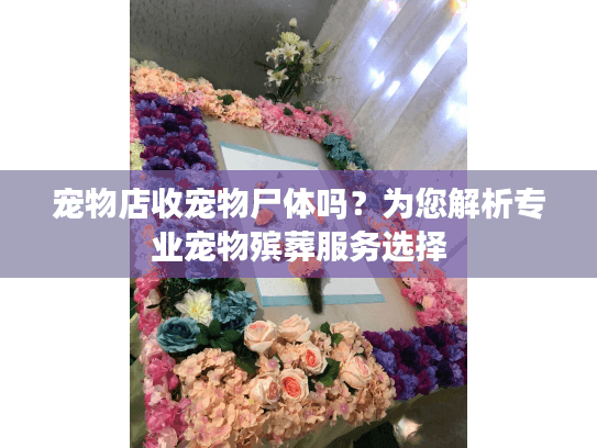 宠物店收宠物尸体吗？为您解析专业宠物殡葬服务选择