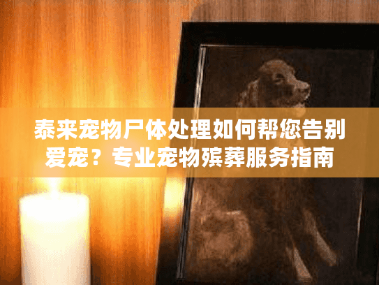 泰来宠物尸体处理如何帮您告别爱宠？专业宠物殡葬服务指南