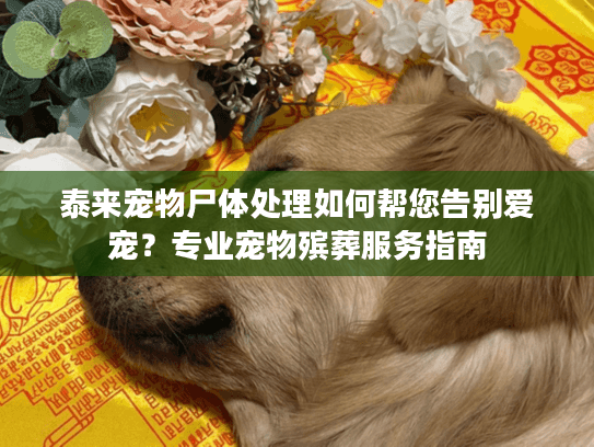泰来宠物尸体处理如何帮您告别爱宠？专业宠物殡葬服务指南