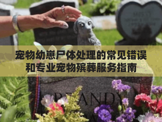 宠物幼崽尸体处理的常见错误和专业宠物殡葬服务指南