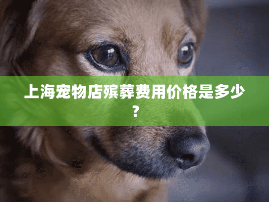 上海宠物店殡葬费用价格是多少？