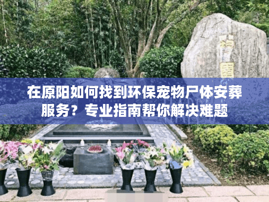 在原阳如何找到环保宠物尸体安葬服务？专业指南帮你解决难题