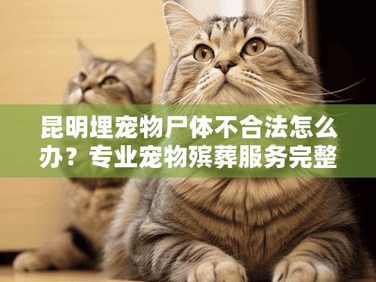 昆明埋宠物尸体不合法怎么办？专业宠物殡葬服务完整指南