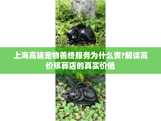 上海高端宠物善终服务为什么贵?解读高价殡葬店的真实价值