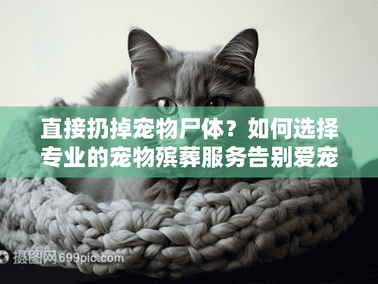 直接扔掉宠物尸体？如何选择专业的宠物殡葬服务告别爱宠
