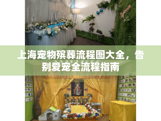 上海宠物殡葬流程图大全，告别爱宠全流程指南