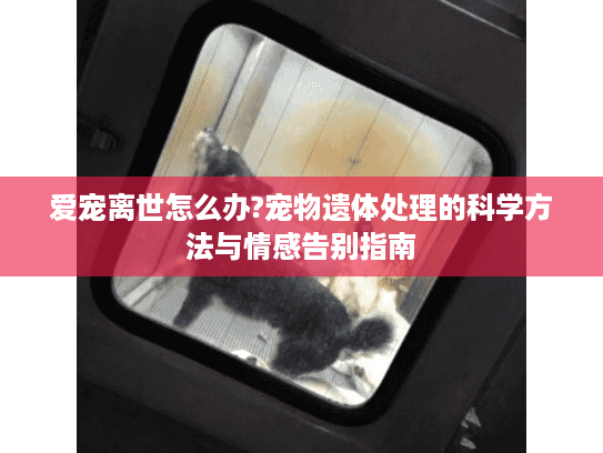 爱宠离世怎么办?宠物遗体处理的科学方法与情感告别指南