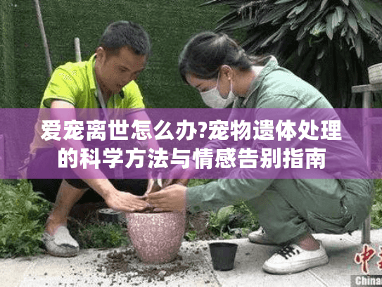 爱宠离世怎么办?宠物遗体处理的科学方法与情感告别指南