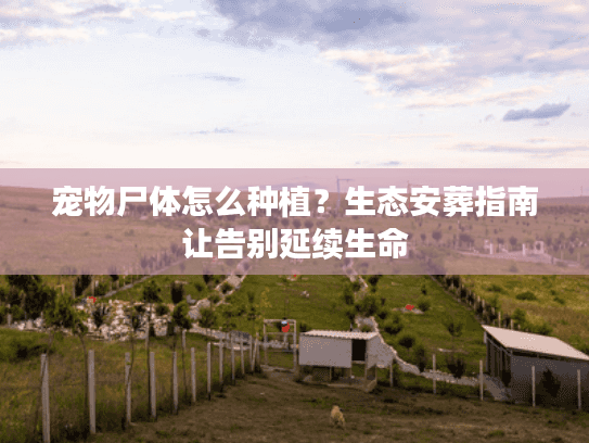 宠物尸体怎么种植？生态安葬指南让告别延续生命