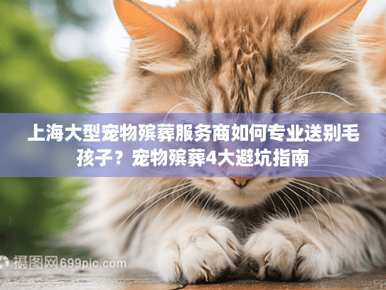 上海大型宠物殡葬服务商如何专业送别毛孩子？宠物殡葬4大避坑指南