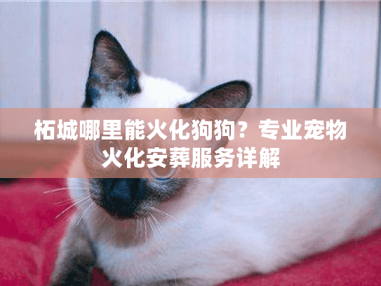 柘城哪里能火化狗狗?专业宠物火化安葬服务详解 柘城哪里能火化狗狗?专业宠物火化安葬服务详解