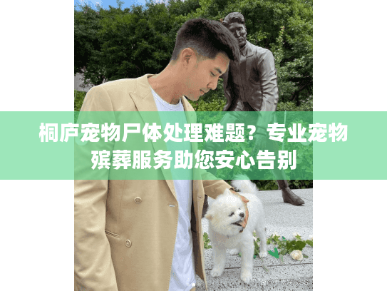 桐庐宠物尸体处理难题？专业宠物殡葬服务助您安心告别