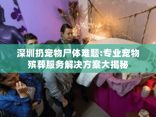 深圳扔宠物尸体难题:专业宠物殡葬服务解决方案大揭秘