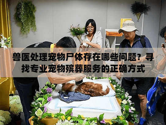 兽医处理宠物尸体存在哪些问题？寻找专业宠物殡葬服务的正确方式