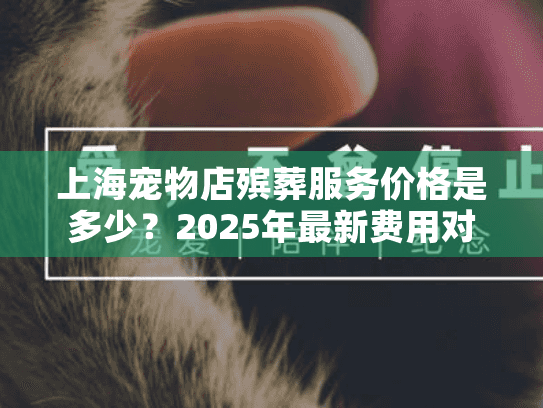 上海宠物店殡葬服务价格是多少？2025年最新费用对比解析