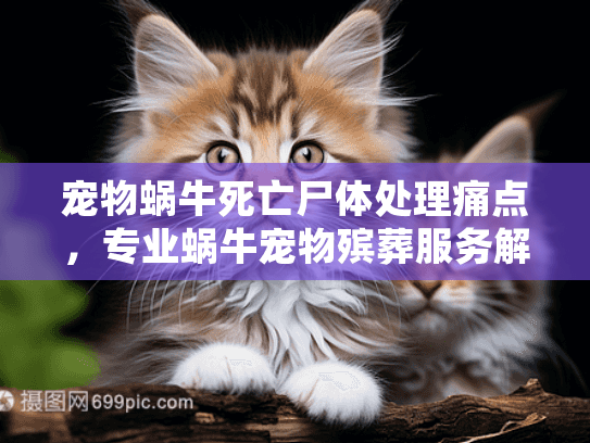 宠物蜗牛死亡尸体处理痛点，专业蜗牛宠物殡葬服务解决方案